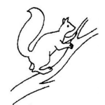 Dibujo para colorear Dibujo De Ardilla En Una Rama Para Pintar Y Colorear Ardillita En Un Arbol