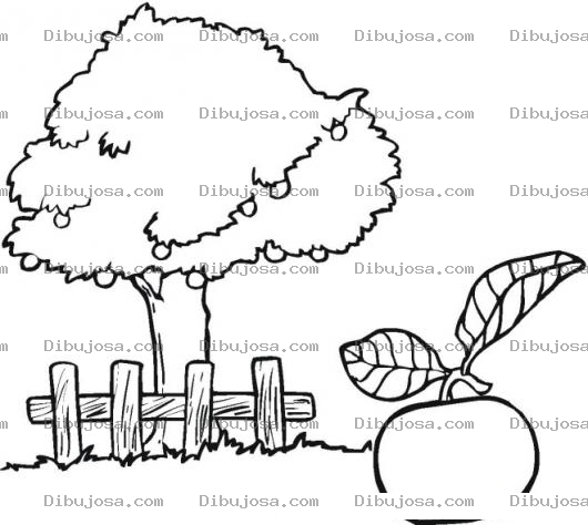 Dibujo para colorear Colorear Arbol de Naranjas