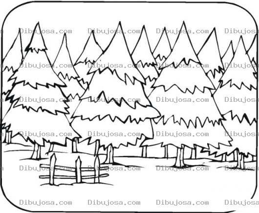 Dibujo para colorear Colorear Bosque de Pinos