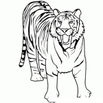 Dibujo para colorear Dibujo De Un Tigre Boca Abierta Para Colorear