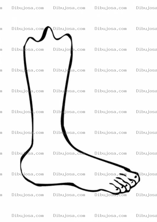 Dibujo para colorear Colorear Pie derecho