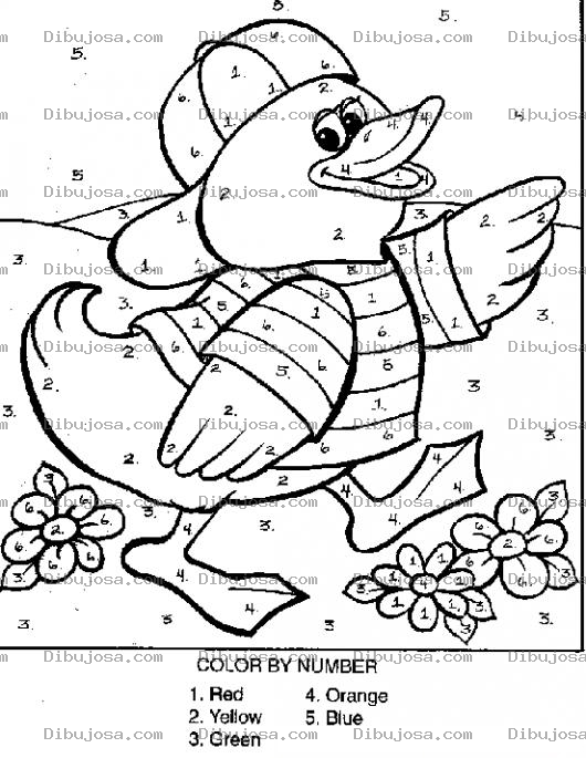 Dibujo para colorear Colorear Por Numeros En Ingles Dibujo De Un Pato Con Gorra 1rojo 2amarillo 3verde 5naranja 5azul Y 6morado