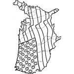 Dibujo para colorear Mapa De Estados Unidos Con Forma De Bandera De Estadosunidos Para Pintar Y Colorear