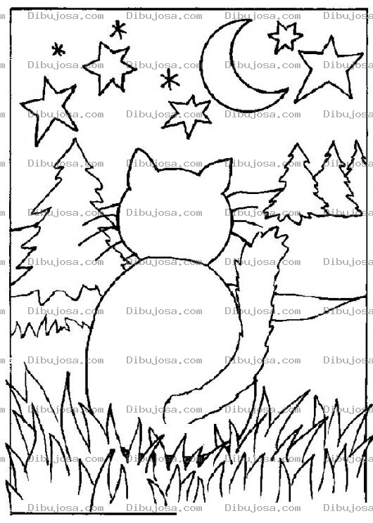 Dibujo para colorear Lalunaylasestrellas Dibujo De Gato En El Bosque Contemplando La Luna Y Las Estrellas En Una Noche Preciosa Para Pintar Y Colorear Gatito Nocturno