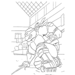 Dibujo para colorear Colorear Tortuga Ninja con Patines
