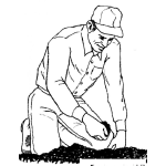 Dibujo para colorear Dibujo De Jardinero Sembrando Con Las Manos Para Colorear