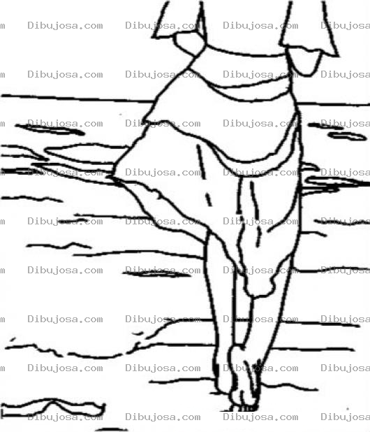 Dibujo para colorear Piesdescalzos Dibujo De Un A Persona Caminando En El Desierto Sin Zapatos Sin Sandalias Con Los Pies Descalzos Para Pintar Y Colorear Pies Descalsos