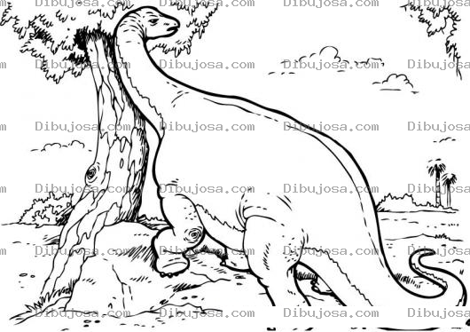 Dibujo para colorear Dibujo De Dinosaurio Comiendo Hojas De Un Arbol Para Pintar Y Colorear