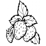 Dibujo para colorear Colorear Fresas