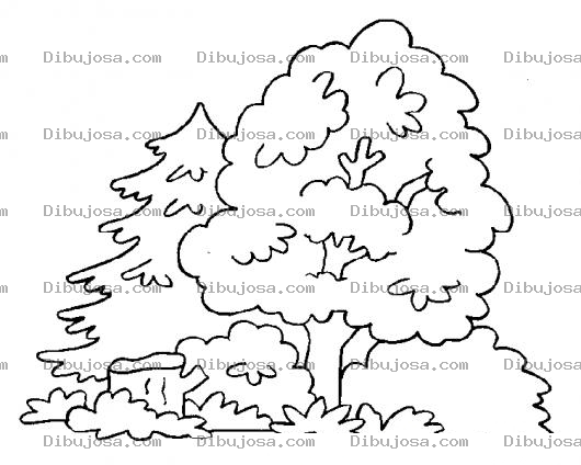 Dibujo para colorear Dibujo De Arboles Para Colorear