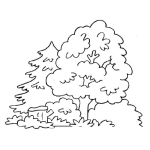 Dibujo para colorear Dibujo De Arboles Para Colorear