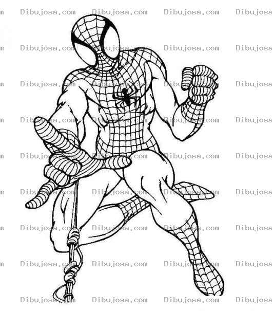 Dibujo para colorear Dibujo De Spiderman Tirando Tela De Arana Para Pintar Y Colorear Hombre Arana Tirando Telarana