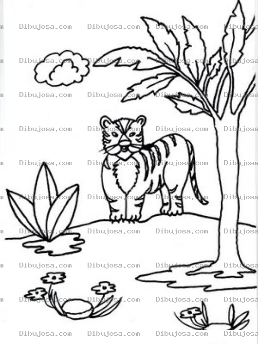 Dibujo para colorear Dibujo De Un Tigre En Un Pantano Para Pintar Y Colorear