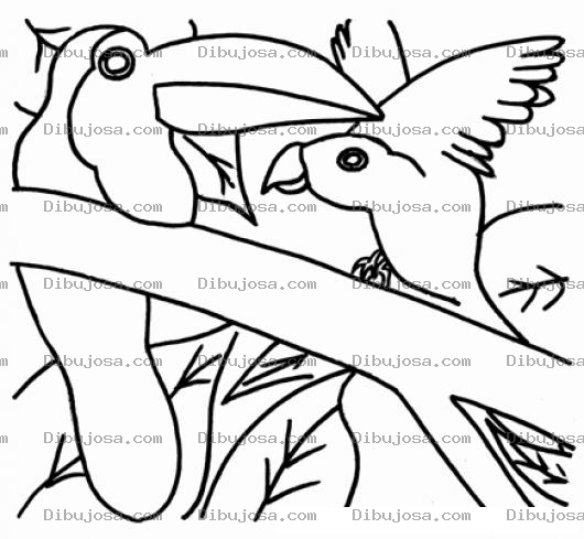 Dibujo para colorear Dibujo De Tucan Y Pajaro Para Colorear