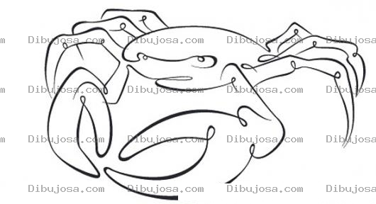 Dibujo para colorear Dibujo De Cangrejo Azul Para Pintar Y Colorear