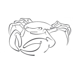 Dibujo para colorear Dibujo De Cangrejo Azul Para Pintar Y Colorear