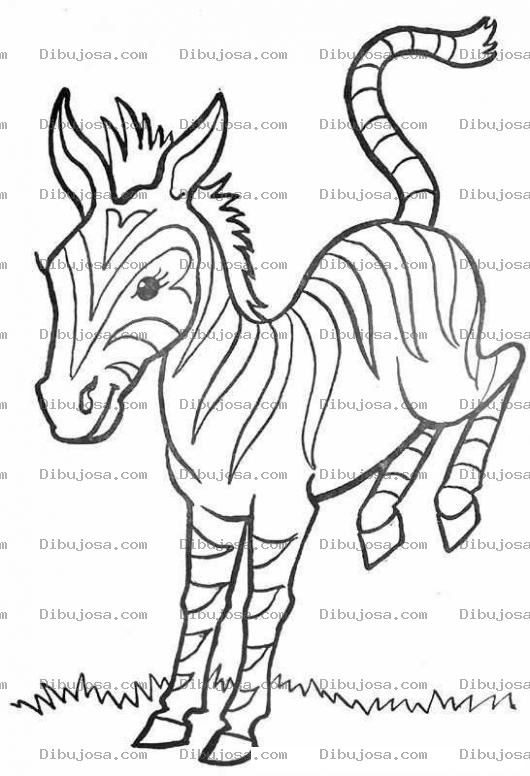 Dibujo para colorear Dibujo De Zebra Para Pintar Y Colorear