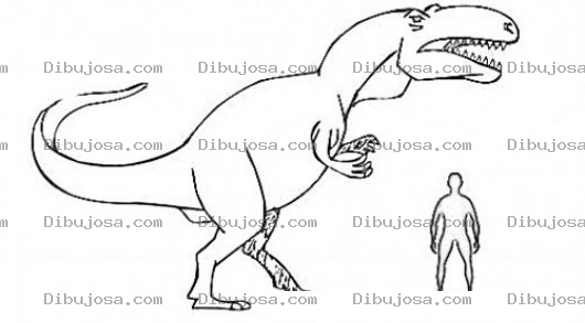 Dibujo para colorear Dinosaurio Y Hombre Dibujo Del Tamano Real Del Tiranosaurio Rex Comparado Con La Estatura De Un Hombre Promedio Para Pintar Y Colorear