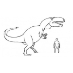 Dibujo para colorear Dinosaurio Y Hombre Dibujo Del Tamano Real Del Tiranosaurio Rex Comparado Con La Estatura De Un Hombre Promedio Para Pintar Y Colorear