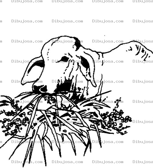 Dibujo para colorear Vacasincuernos Dibujo De Vaca Sin Cuernos Comiendo Pasto Para Pintar Y Colorear Vacasincachos