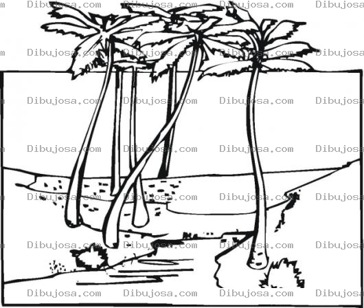 Dibujo para colorear Paisajes Dibujo De Un Paisaje Con 6 Palmeras Para Pintar Y Colorear Cocales