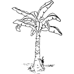Dibujo para colorear Platanar Dibujo De Arbol De Platanos Para Pintar Y Colorear