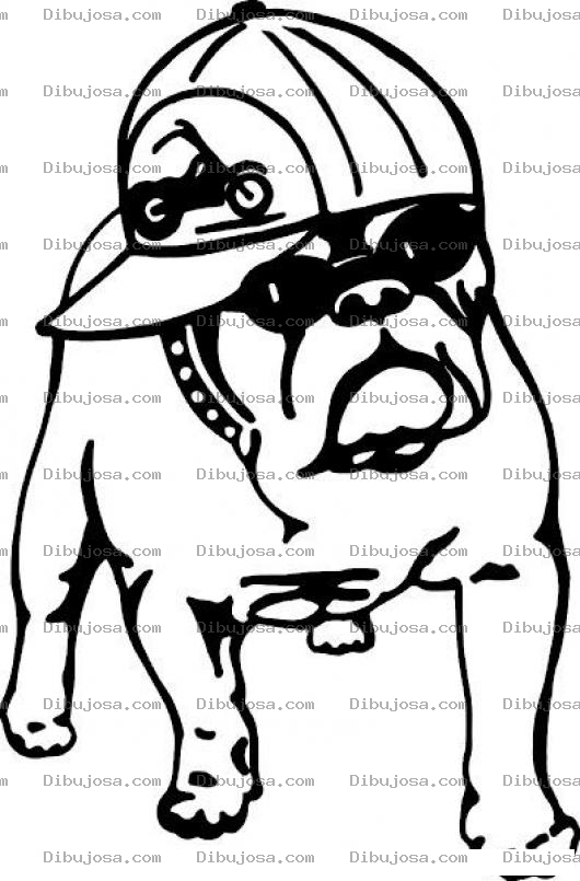 Dibujo para colorear Dibujo De Perro Rapero Para Pintar Y Colorea