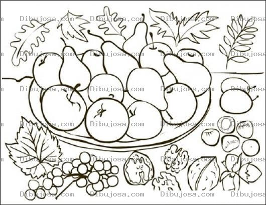 Dibujo para colorear Platodefrutas Dibujo De Comida Organica Un Plato De Frutas Con Peras Y Manzanas Para Pintar Y Colorear Comidaorganica