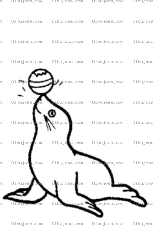 Dibujo para colorear Foto De Una Foca Para Colorear Y Pintar