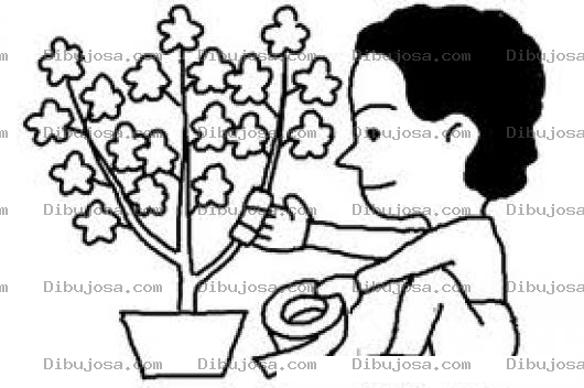 Dibujo para colorear Dibujo De Jardinerito Sanado Y Reparando La Rama De Un Arbolito Con Cinta Adhesiva Tape Para Colorear