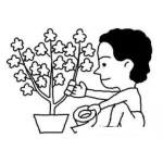 Dibujo para colorear Dibujo De Jardinerito Sanado Y Reparando La Rama De Un Arbolito Con Cinta Adhesiva Tape Para Colorear