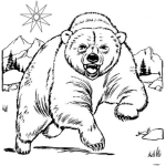 Dibujo para colorear Oso Furioso Corriendo De Frente Para Pintar Y Colorear