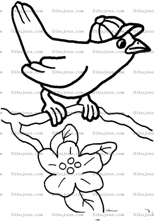 Dibujo para colorear Dibujo De Pajarito Con Gorra Para Pintar Y Colorear Pajaro Con Cachucha