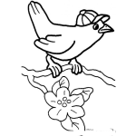 Dibujo para colorear Dibujo De Pajarito Con Gorra Para Pintar Y Colorear Pajaro Con Cachucha