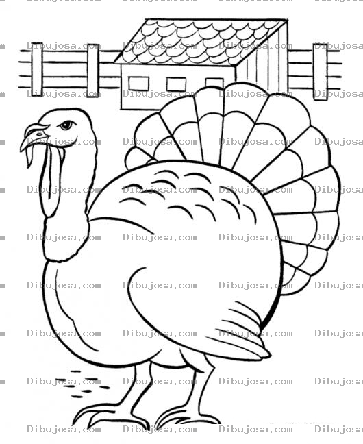 Dibujo para colorear Dibujo De Un Chumpe Para Pintar Y Colorear Pavo Chompipe