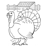 Dibujo para colorear Dibujo De Un Chumpe Para Pintar Y Colorear Pavo Chompipe