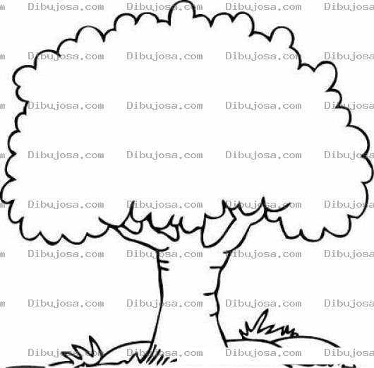 Dibujo para colorear Arbol Frondoso Para Pintar Y Colorear
