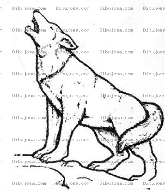 Dibujo para colorear Dibujo De Lobo Ahuyando Para Pintar Y Colorear