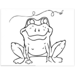 Dibujo para colorear Colorear una rana con una mosca