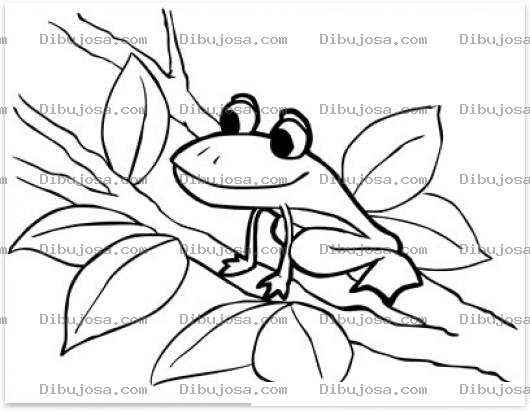 Dibujo para colorear Colorear ranita sobre una rama