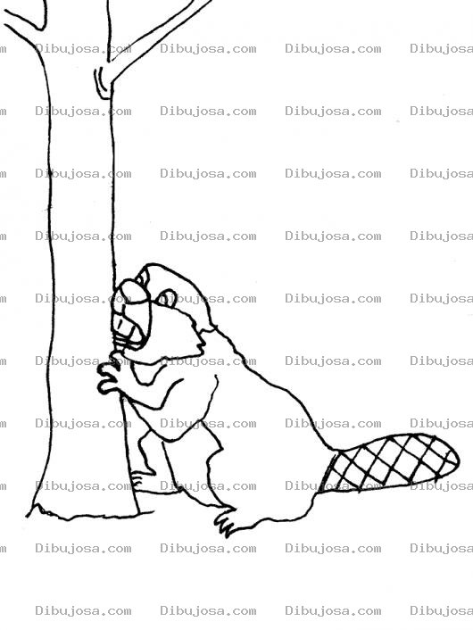 Dibujo para colorear Dibujo De Castor Comiendo Un Arbol Para Pintar Y Colorear