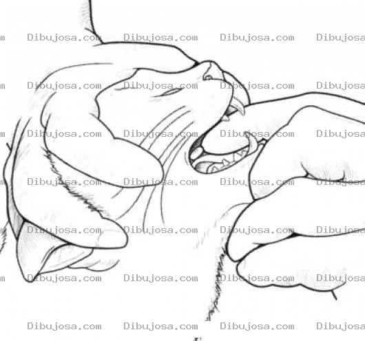 Dibujo para colorear Colmillos De Gato Dibujo De Las Manos De Un Veterinario Con Guantes Dando Una Pastilla A La Fuerza A Un Gato Para Pintar Y Colorear Dientes De Gato