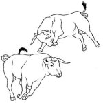 Dibujo para colorear Toros Corriendo Dibujo De Toros Bravos De San Fermin Para Pintar Y Colorear Toros De Sanfermin