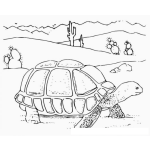 Dibujo para colorear Tortuga Del Desierto Dibujo De Tortuga Caminando En El Desierto Para Pintar Y Colorear Tortuga De Tierra Seca