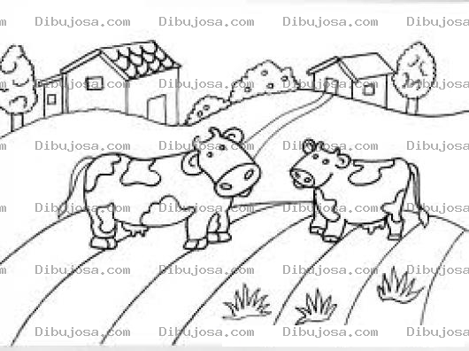 Dibujo para colorear Dibujo De 2 Vaquitas En 1 Finca Para Colorear