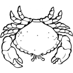 Dibujo para colorear Dibujo De Cangrejo Azul Para Para Pintar Y Colorear