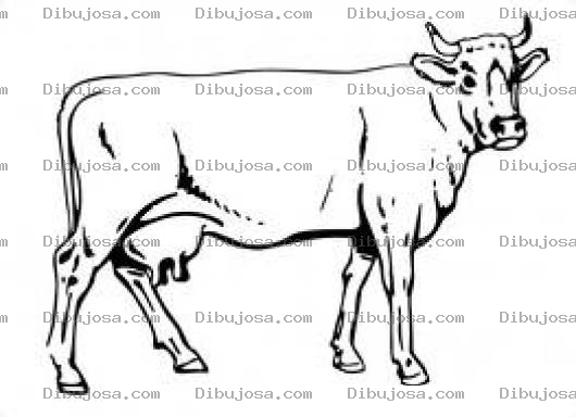 Dibujo para colorear Dibujo De Vaca Lechera Para Colorear
