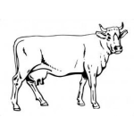 Dibujo para colorear Dibujo De Vaca Lechera Para Colorear