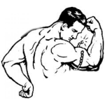 Dibujo para colorear Dibujo De Hombre Musculoso Rompiendo Una Cadena Con Su Bicep Para Colorear
