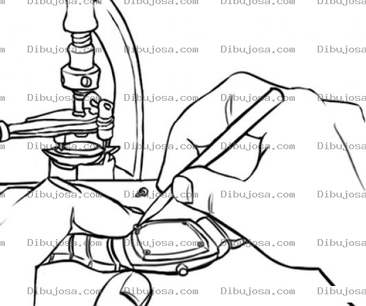 Dibujo para colorear Dibujo De Un Relojero Abriendo Un Reloj Para Pintar Y Colorear Taller De Relojeria
